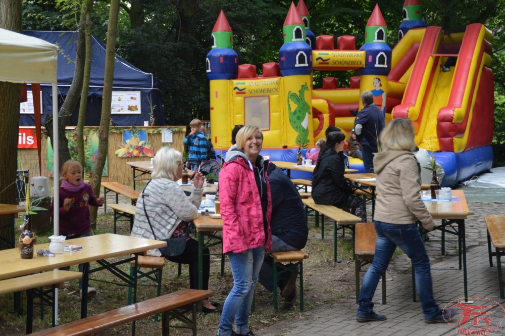 Steinhafenfest 2014_22