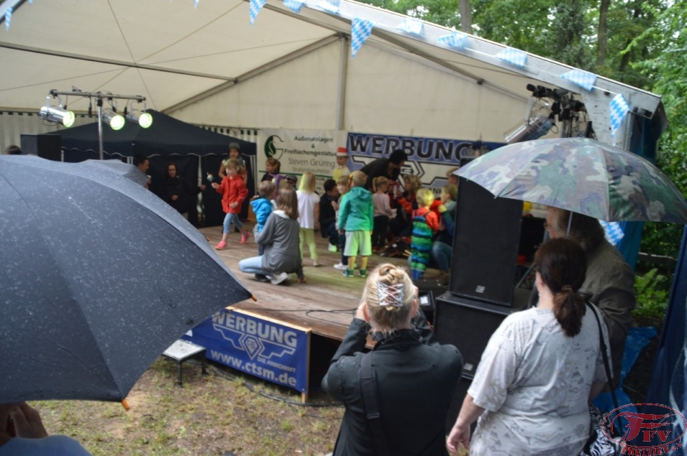 Steinhafenfest 2016_61