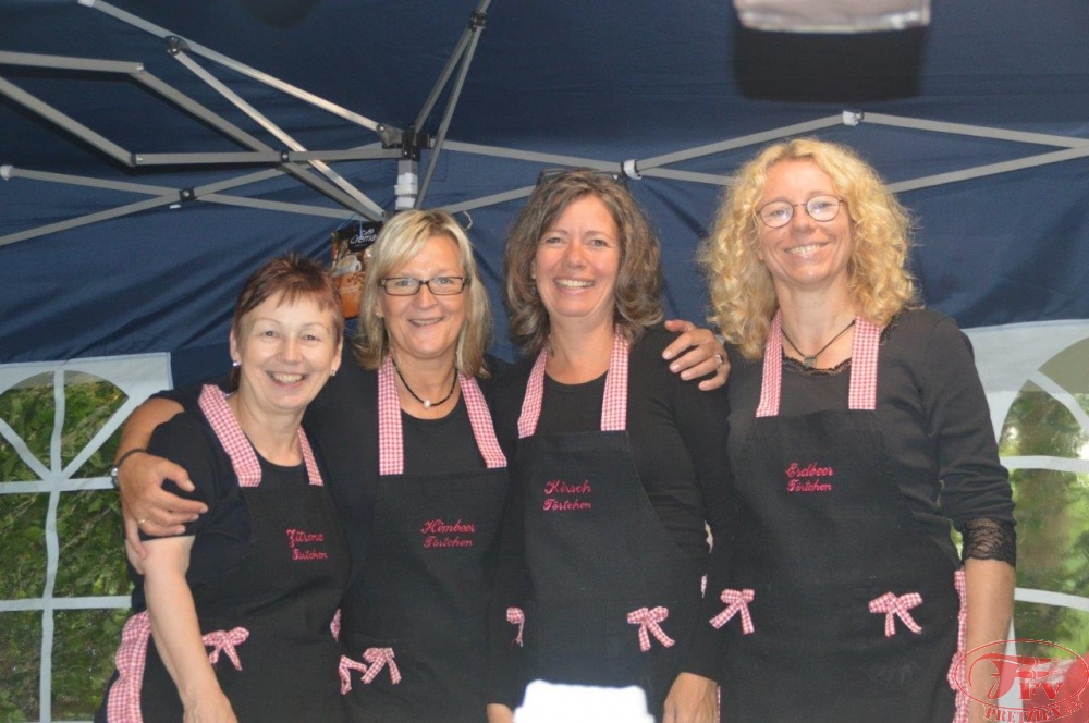 Steinhafenfest 2017_29